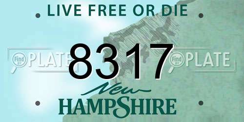 8317 New Hampshire License Plate