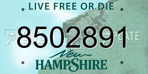 8502891 New Hampshire License Plate