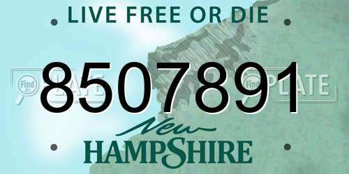 8507891 New Hampshire License Plate