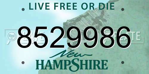 8529986 New Hampshire License Plate