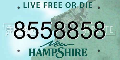 8558858 New Hampshire License Plate
