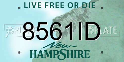 8561ID New Hampshire License Plate