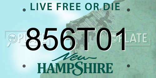856T01 New Hampshire License Plate