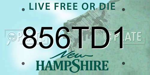 856TD1 New Hampshire License Plate