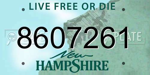 8607261 New Hampshire License Plate