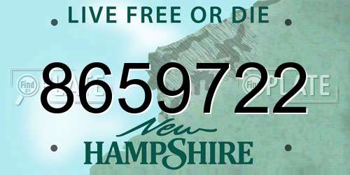 8659722 New Hampshire License Plate