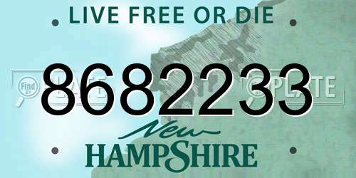 8682233 New Hampshire License Plate