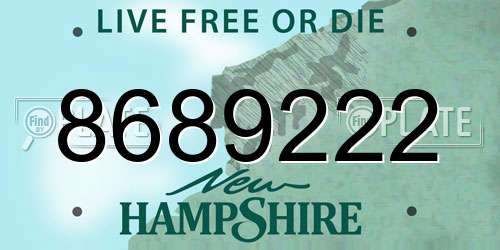8689222 New Hampshire License Plate