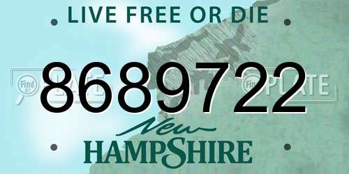 8689722 New Hampshire License Plate