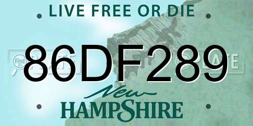 86DF289 New Hampshire License Plate
