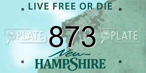 873 New Hampshire License Plate