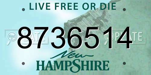 8736514 New Hampshire License Plate