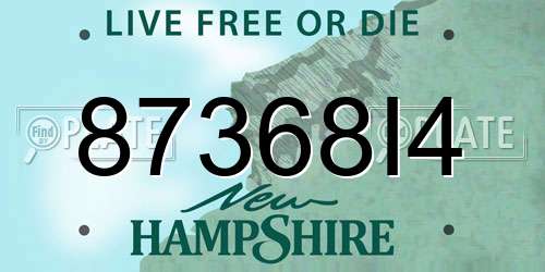 87368I4 New Hampshire License Plate