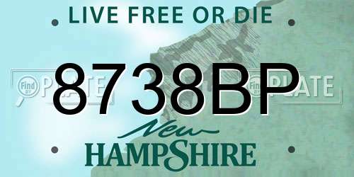 8738BP New Hampshire License Plate