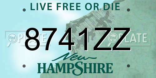 8741ZZ New Hampshire License Plate