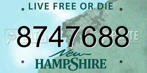 8747688 New Hampshire License Plate