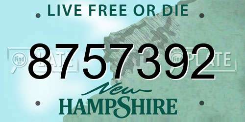 8757392 New Hampshire License Plate