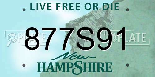 877S91 New Hampshire License Plate