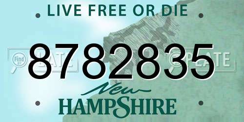 8782835 New Hampshire License Plate