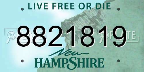 8821819 New Hampshire License Plate