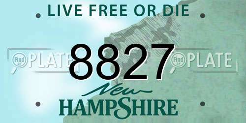 8827 New Hampshire License Plate
