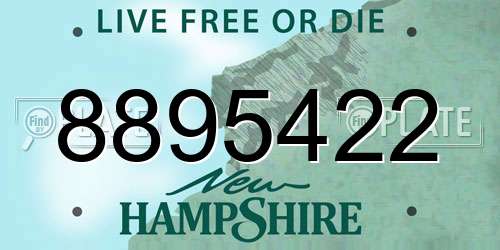 8895422 New Hampshire License Plate