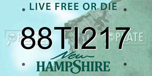 88TI217 New Hampshire License Plate