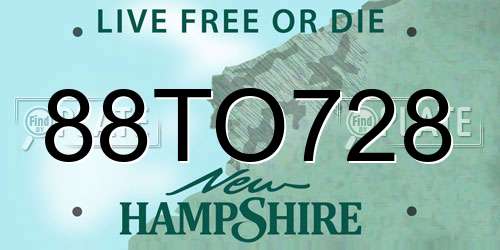 88TO728 New Hampshire License Plate