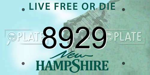 8929 New Hampshire License Plate