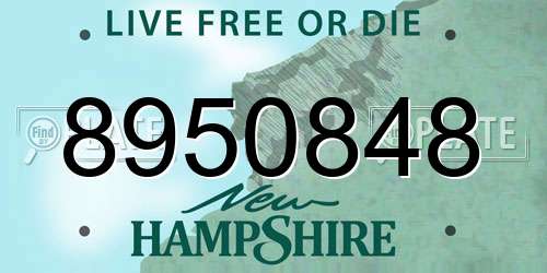 8950848 New Hampshire License Plate