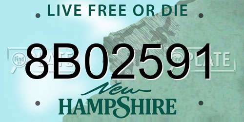 8B02591 New Hampshire License Plate