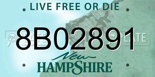 8B02891 New Hampshire License Plate