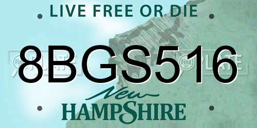 8BGS516 New Hampshire License Plate