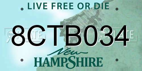 8CTB034 New Hampshire License Plate