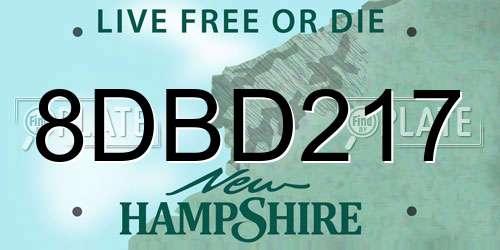 8DBD217 New Hampshire License Plate