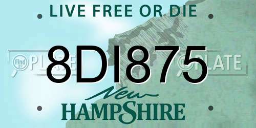 8DI875 New Hampshire License Plate