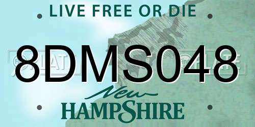 8DMS048 New Hampshire License Plate