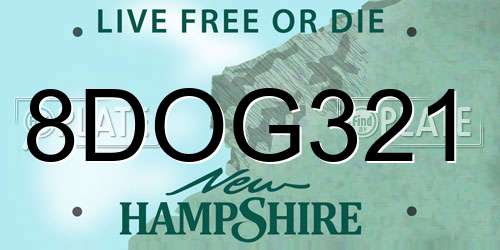 8DOG321 New Hampshire License Plate