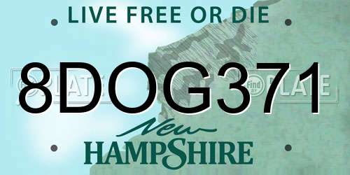 8DOG371 New Hampshire License Plate