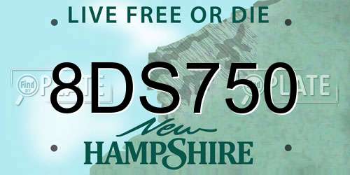 8DS750 New Hampshire License Plate
