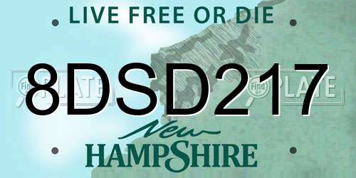 8DSD217 New Hampshire License Plate