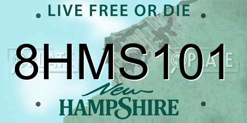 8HMS101 New Hampshire License Plate