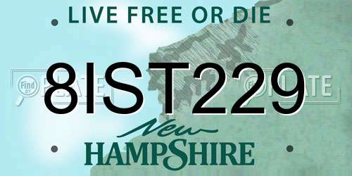 8IST229 New Hampshire License Plate