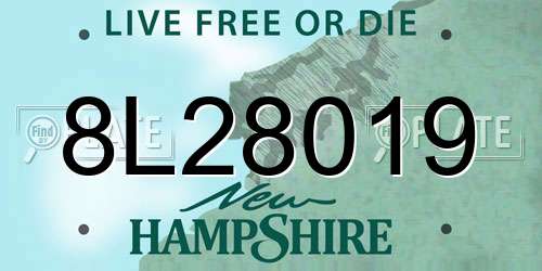 8L28019 New Hampshire License Plate