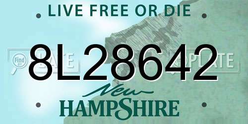 8L28642 New Hampshire License Plate