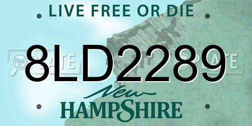 8LD2289 New Hampshire License Plate