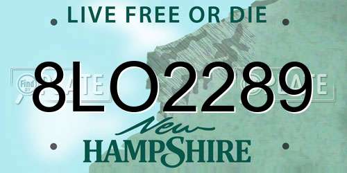 8LO2289 New Hampshire License Plate