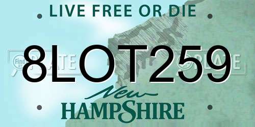 8LOT259 New Hampshire License Plate