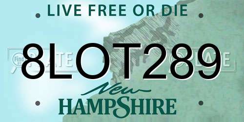 8LOT289 New Hampshire License Plate