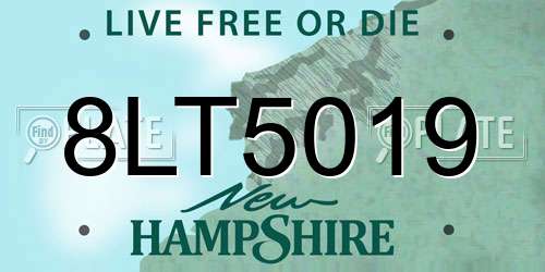 8LT5019 New Hampshire License Plate